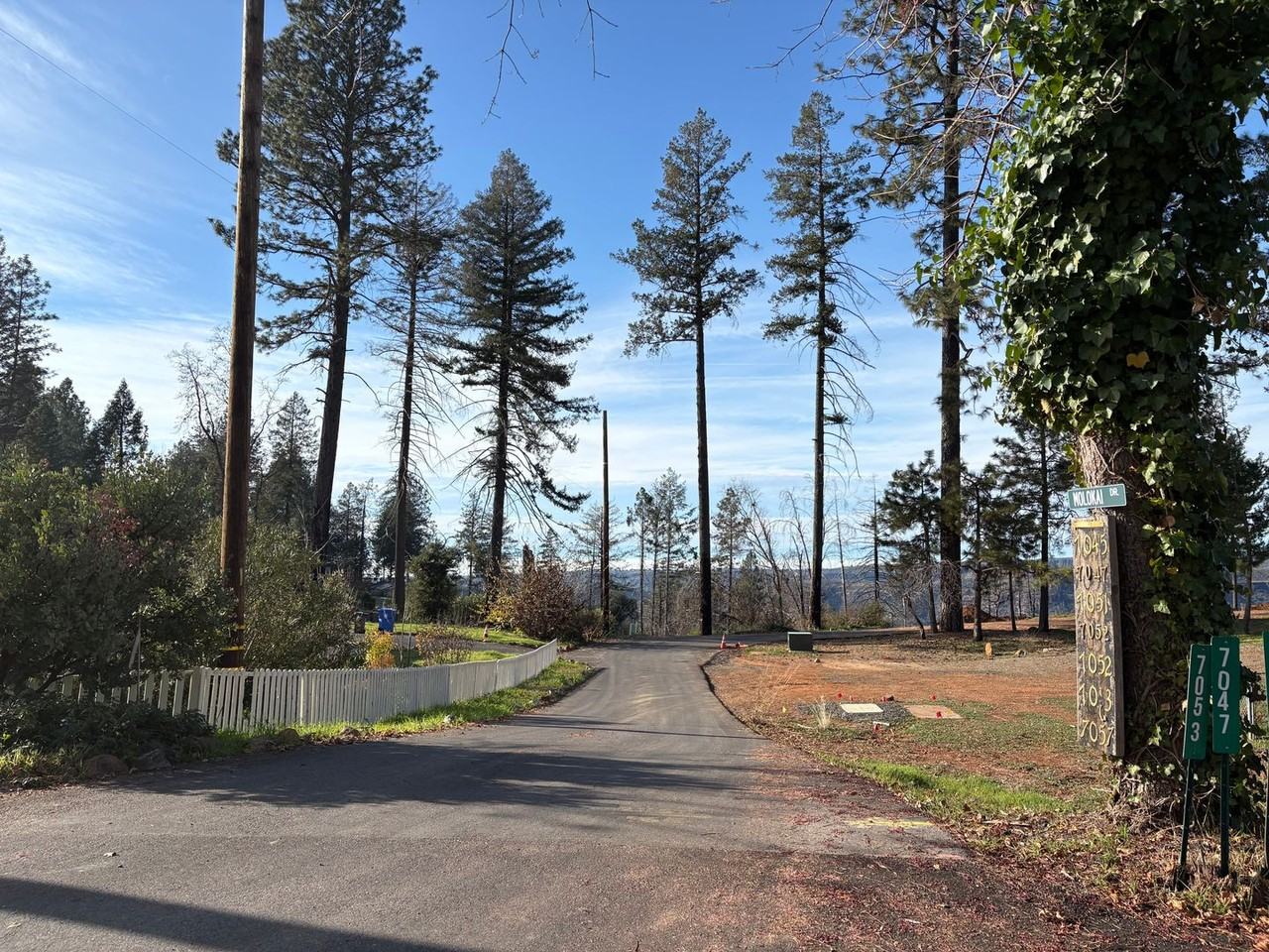 7045 Molokai Dr - Photo 2 of 16