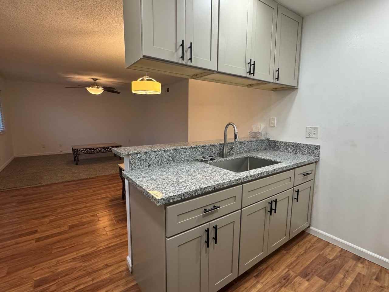 309 Harding Blvd #1 - Photo 6 of 13