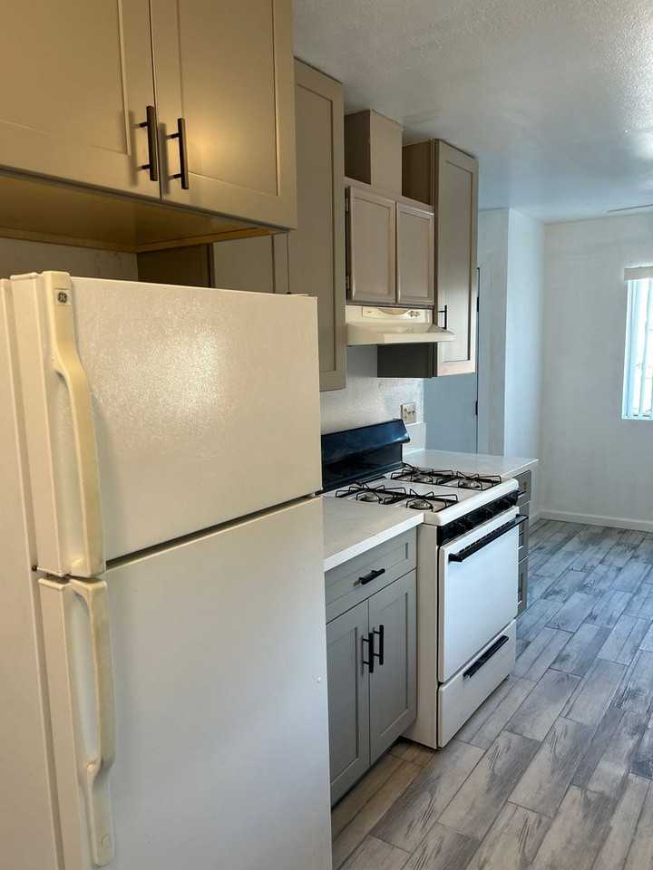 135 Avenida Del Gado - Photo 4 of 13