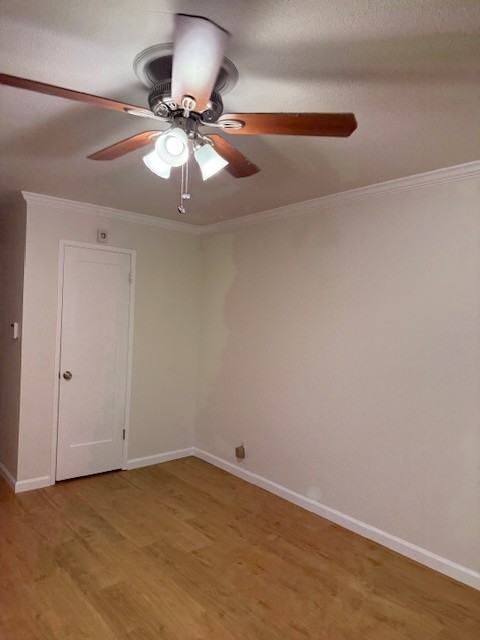 5887 El Zuparko DriveUnit 4 #4 - Photo 6 of 26