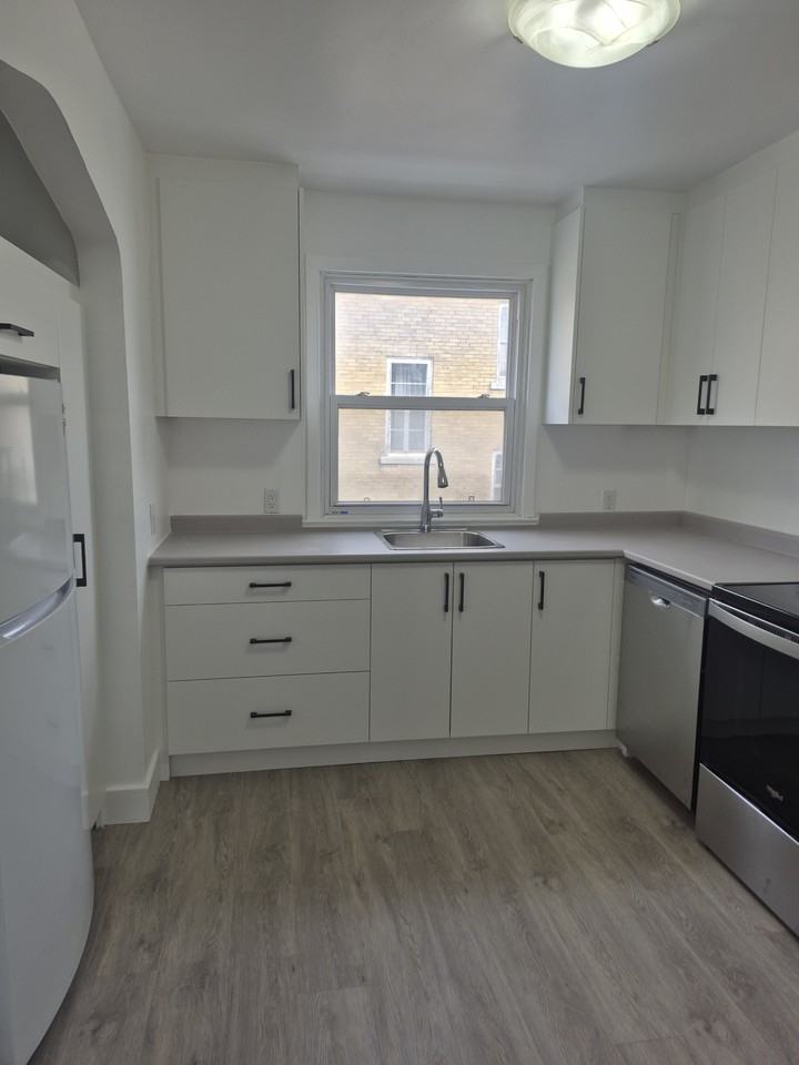 649 Rideau St - Photo 5 of 21