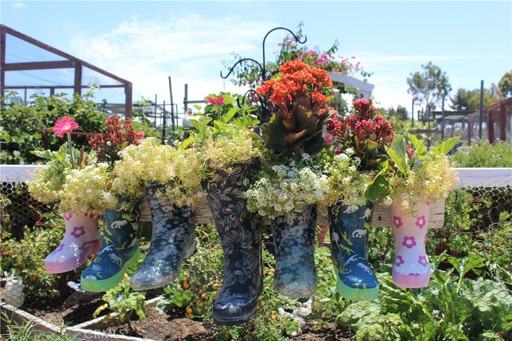 5349 Algarrobo #5349Q - Photo 5 of 22