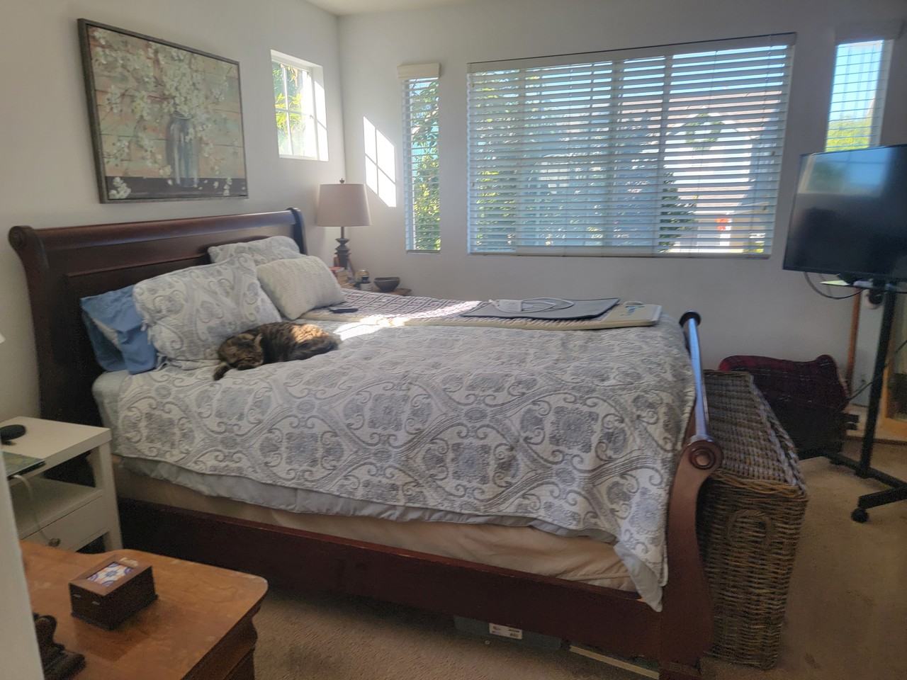 49 Bluff Cove Dr #NA - Photo 6 of 7