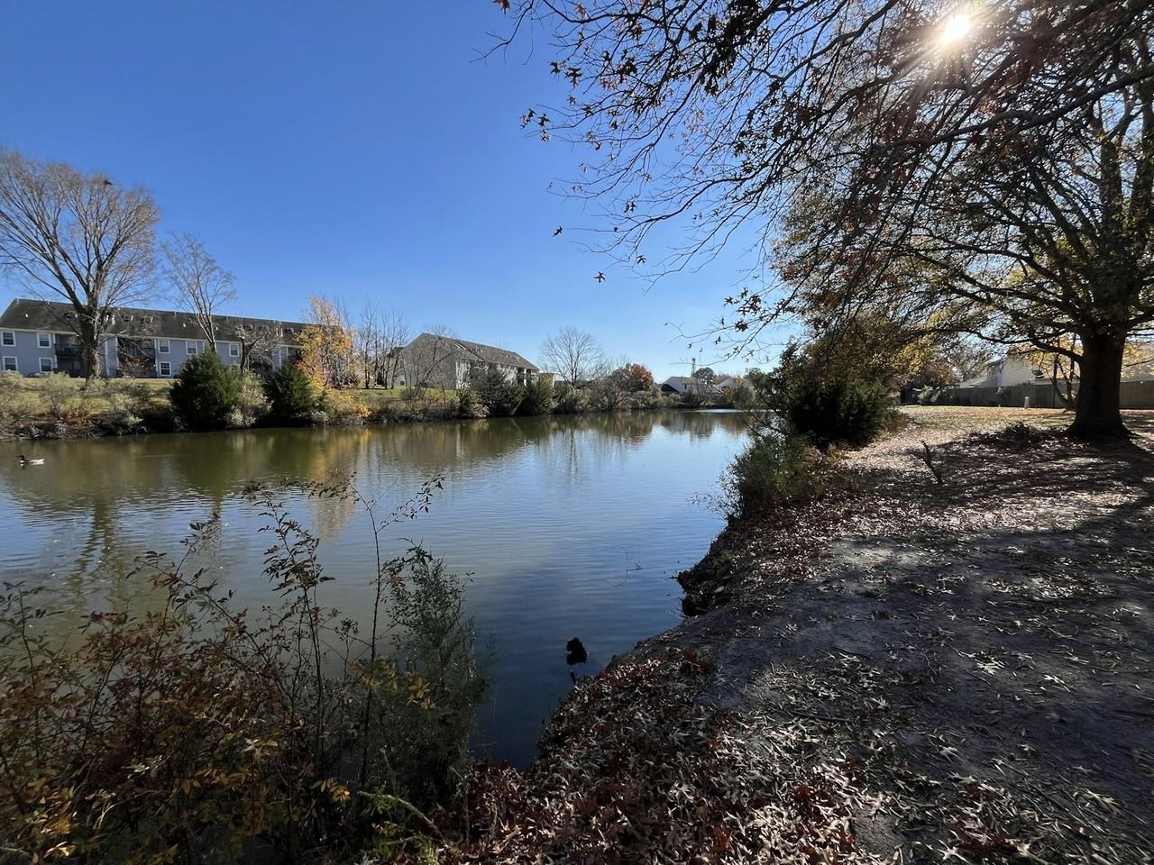 1408 Callandish Ct - Photo 5 of 22