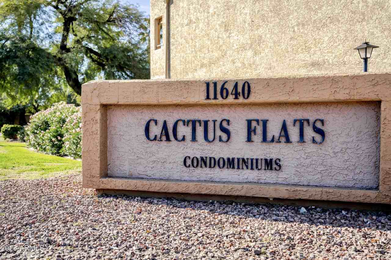 11640 N 51st Ave Apt 250 #250 - Photo 2 of 26