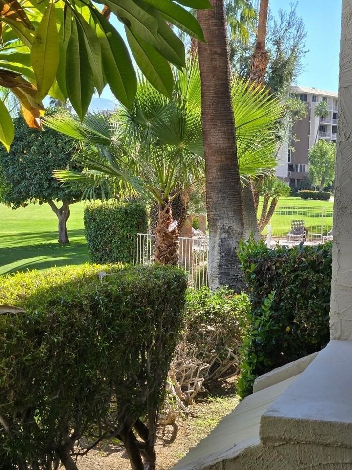 910 Island Dr Apt 113 #113 - Photo 6 of 40