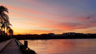 19029 Us Highway 19 N #28B - Photo 1 of 1