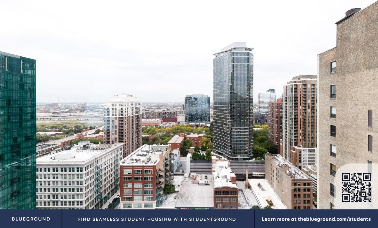 1000 South Michigan Avenue - Photo 7 of 39