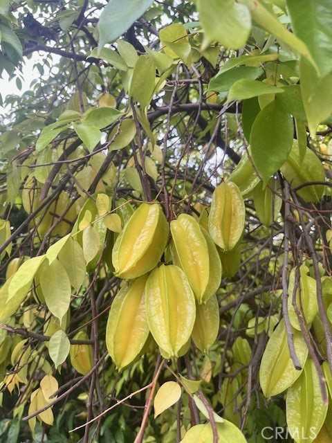 6752 Oak Ave #6752 - Photo 3 of 9