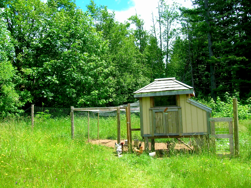 1002 Jessup Rd #COZY - Photo 3 of 16