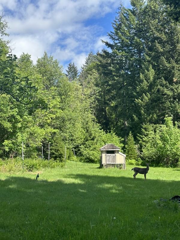 1002 Jessup Rd #COZY - Photo 4 of 16