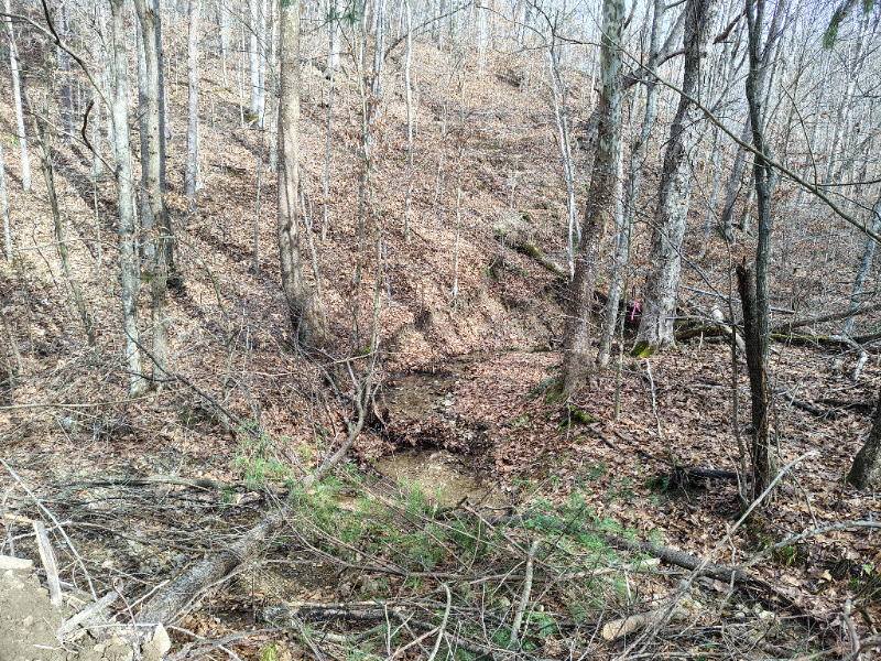 362 Ester Spur Rd - Photo 5 of 6