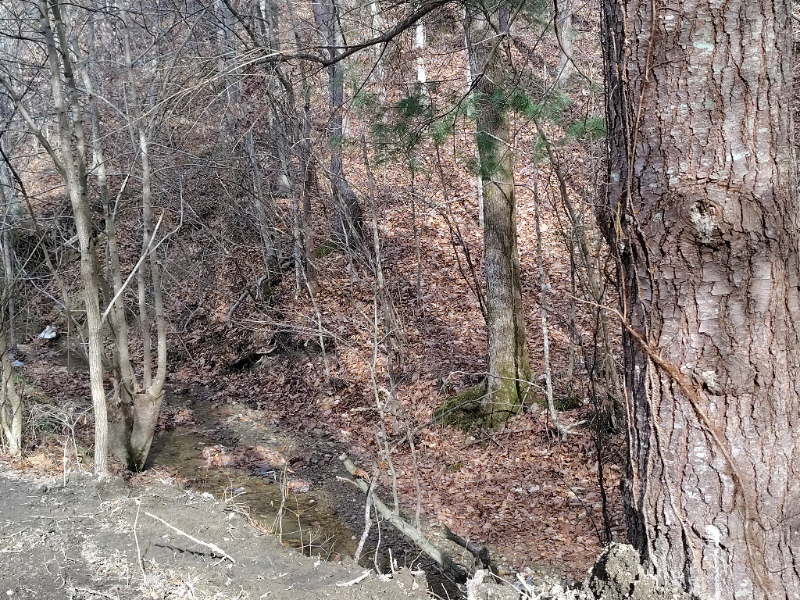 362 Ester Spur Rd - Photo 6 of 6