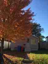 959 W 2nd St - Photo 1 of 1