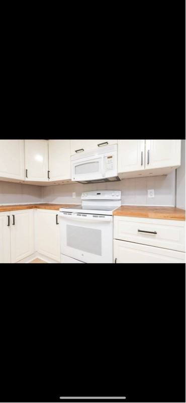 225 Willow Lake Ln - Photo 2 of 11