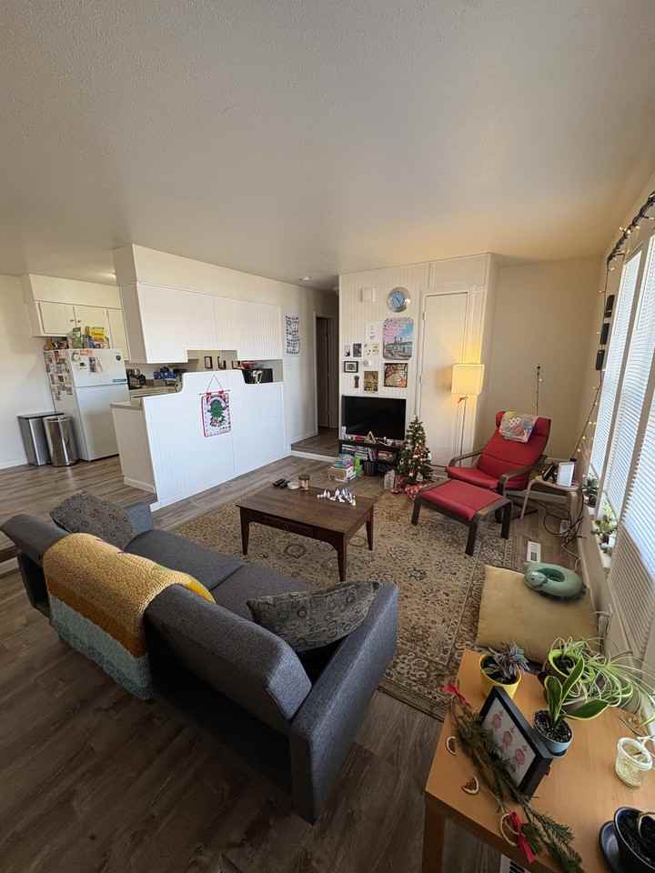 3041 Sumac St #1 - Photo 4 of 14