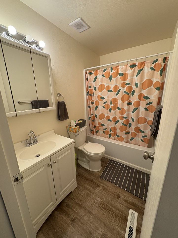3041 Sumac St #1 - Photo 6 of 14