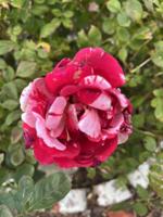 featured image of 841 Marie Park Dr Ne #NA