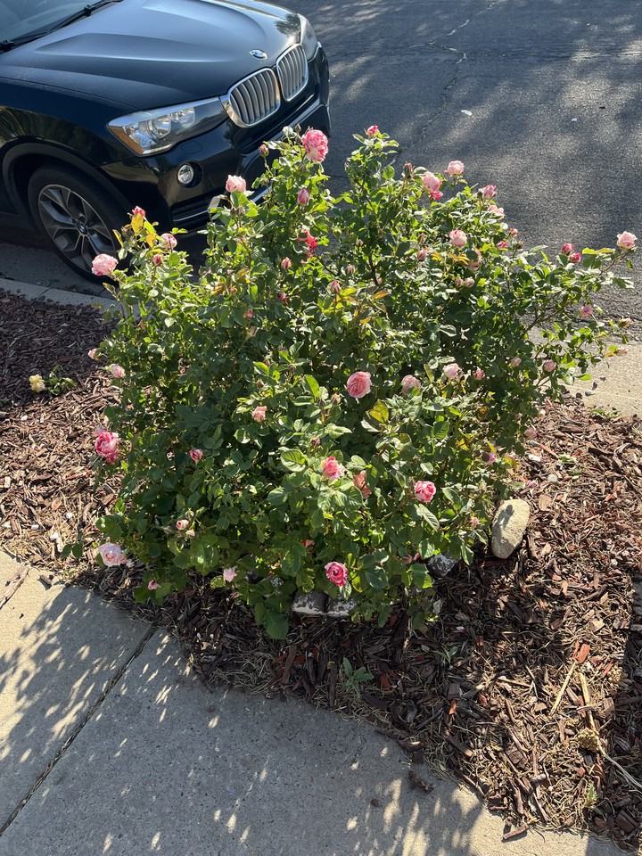 841 Marie Park Dr Ne #NA - Photo 2 of 5