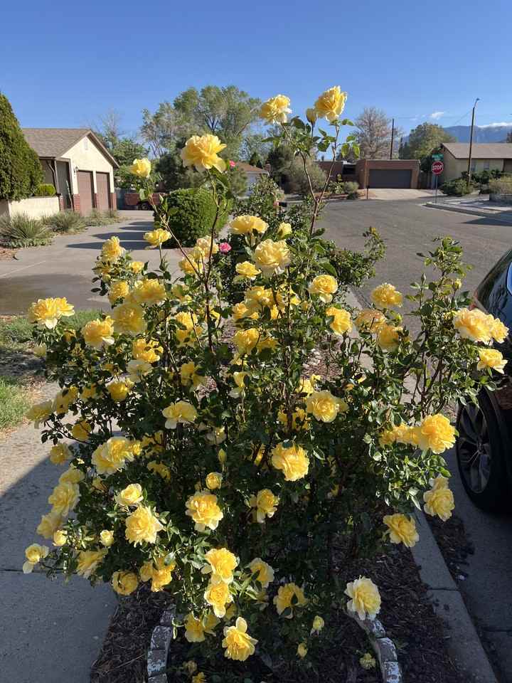 841 Marie Park Dr Ne #NA - Photo 3 of 5