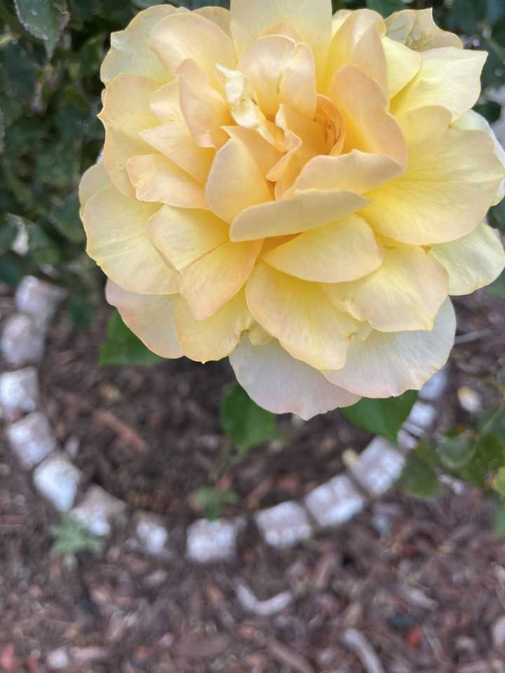 841 Marie Park Dr Ne #NA - Photo 4 of 5