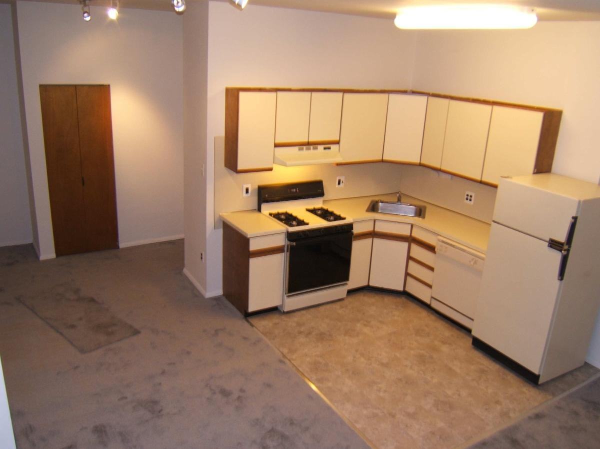 343 Queen St #1 - Photo 2 of 12