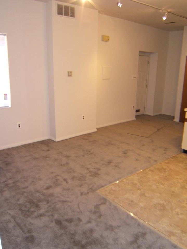 343 Queen St #1 - Photo 5 of 12