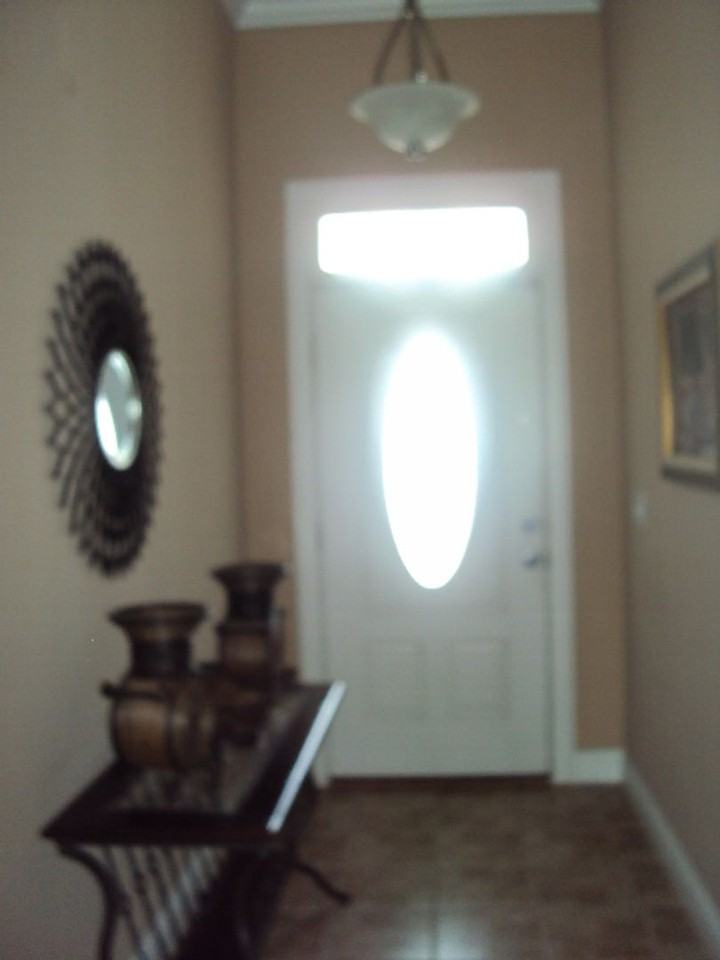 215 Thrasher Way - Photo 7 of 13