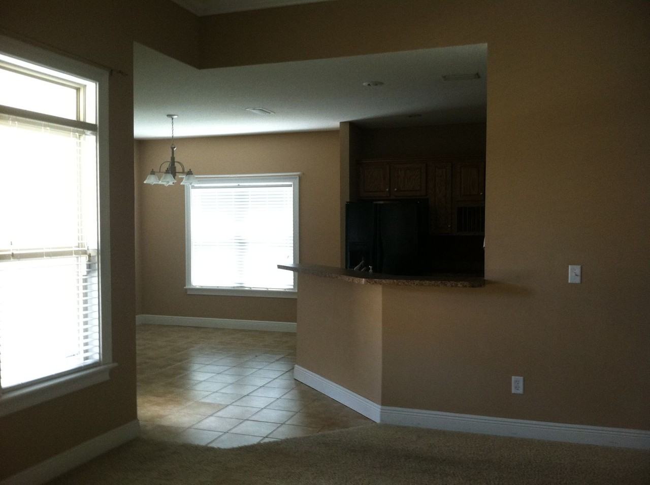 215 Thrasher Way - Photo 4 of 13