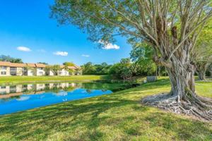 featured image of 6736 Palmetto Cir S #105