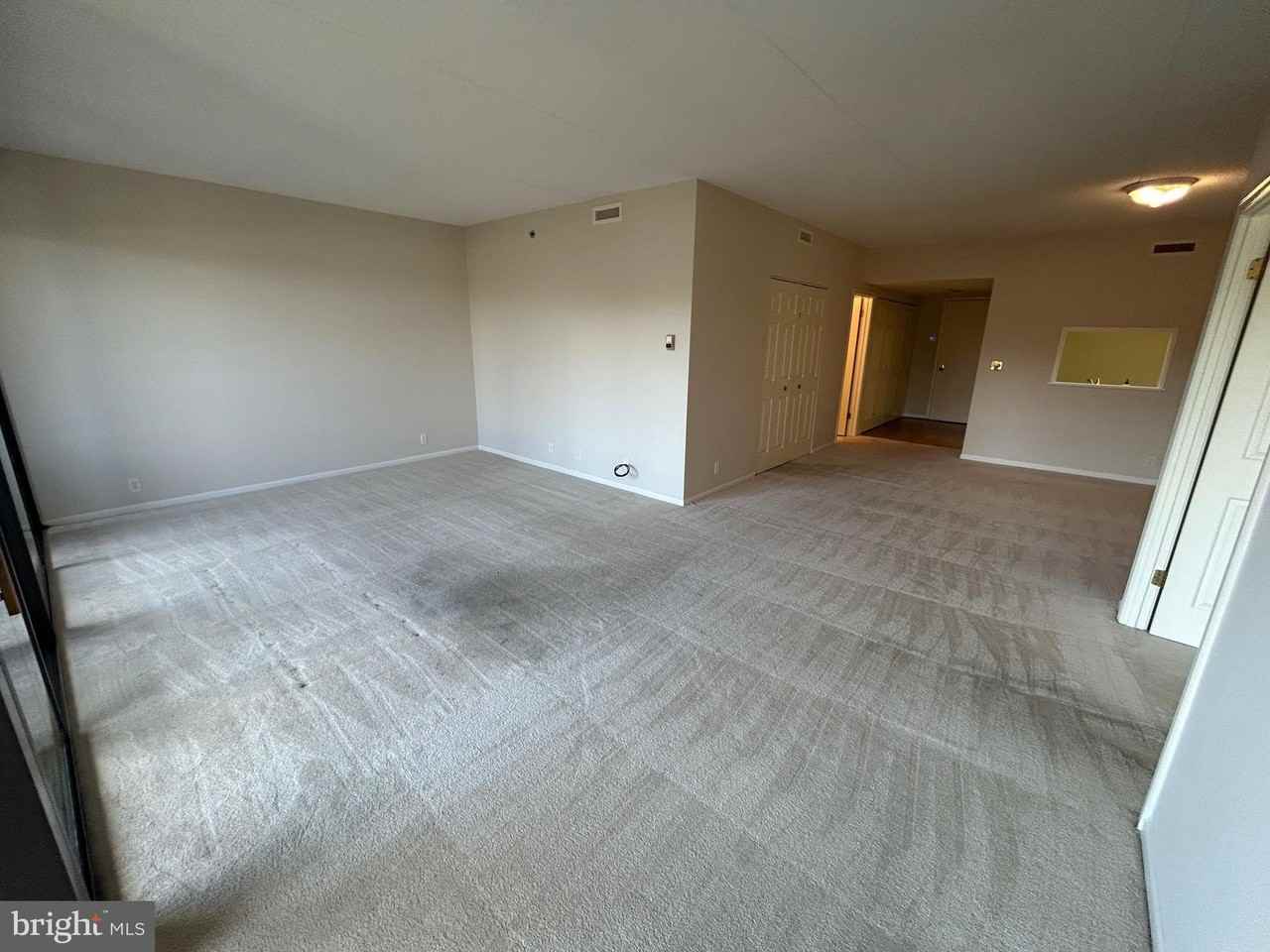 1100 Lovering Ave Apt 204 #204 - Photo 4 of 13