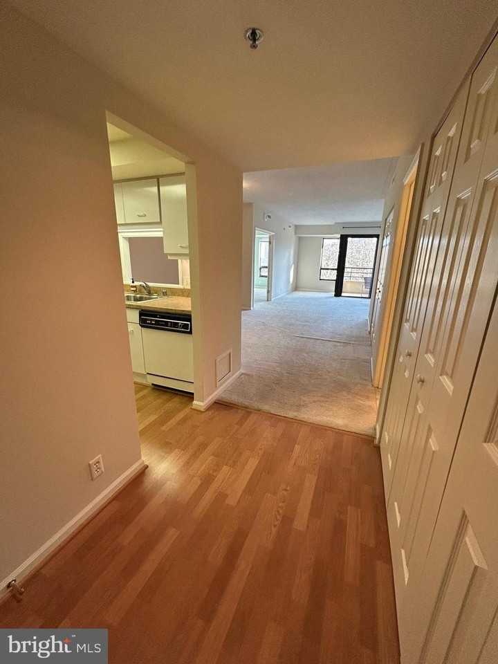 1100 Lovering Ave Apt 204 #204 - Photo 5 of 13