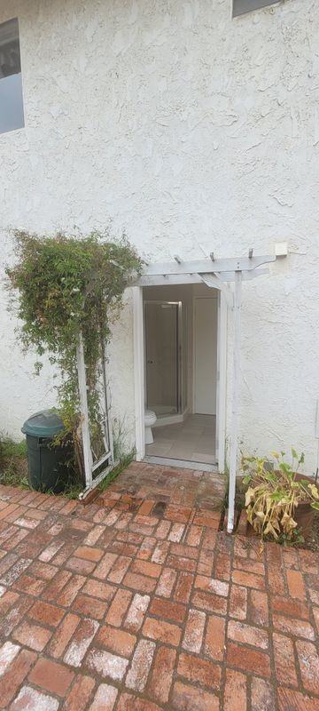 893 Calle Pinata - Photo 5 of 12