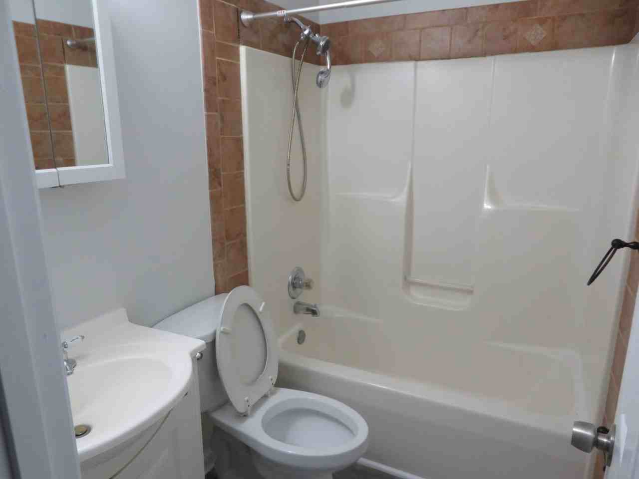 4511 Brickwood Meadow Ct - Photo 5 of 9