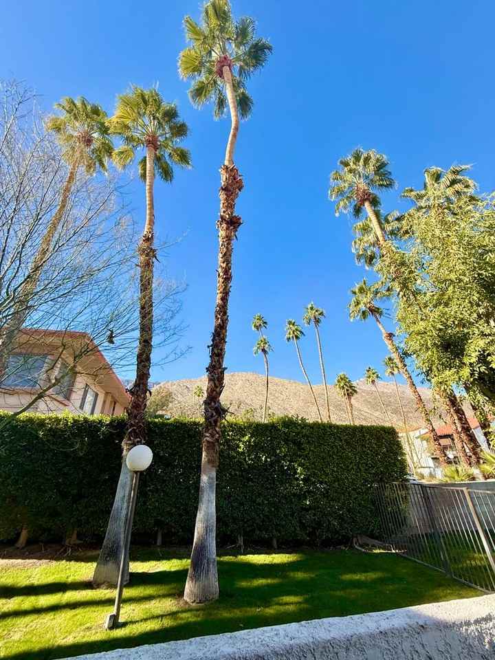 250 E San Jose Rd #61 - Photo 2 of 17