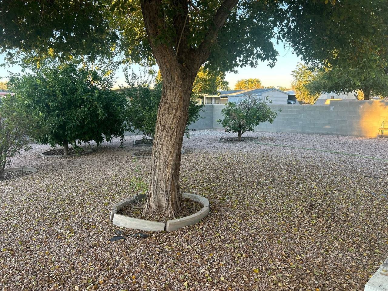 8918 E Michigan Ave - Photo 4 of 20