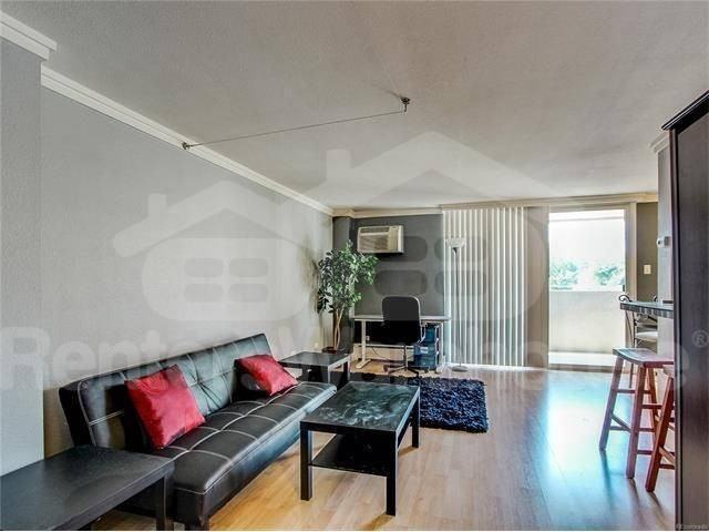 1035 Colorado Blvd #307 - Photo 3 of 16