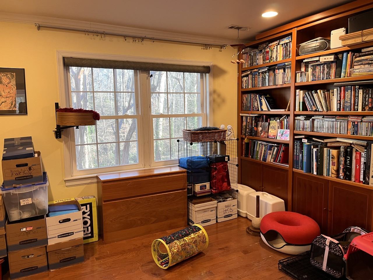 101 Barbary Ct - Photo 5 of 10