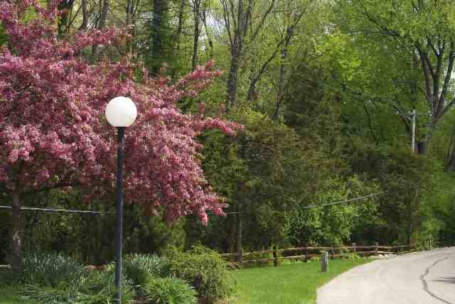 2041 Overlook Pass #3 - Photo 4 of 12