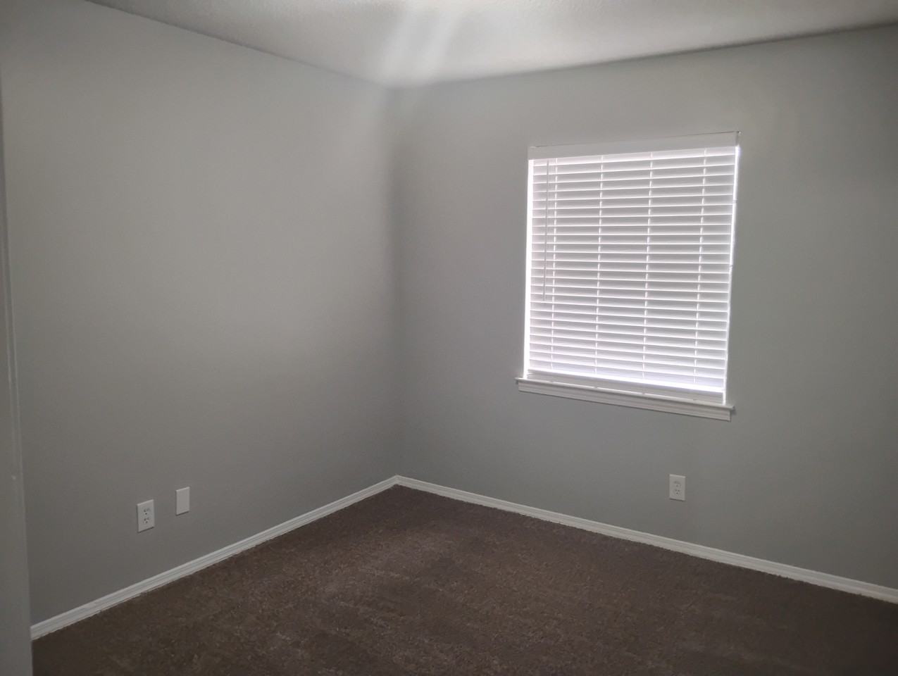 5564 Springer Ct #1 - Photo 4 of 7