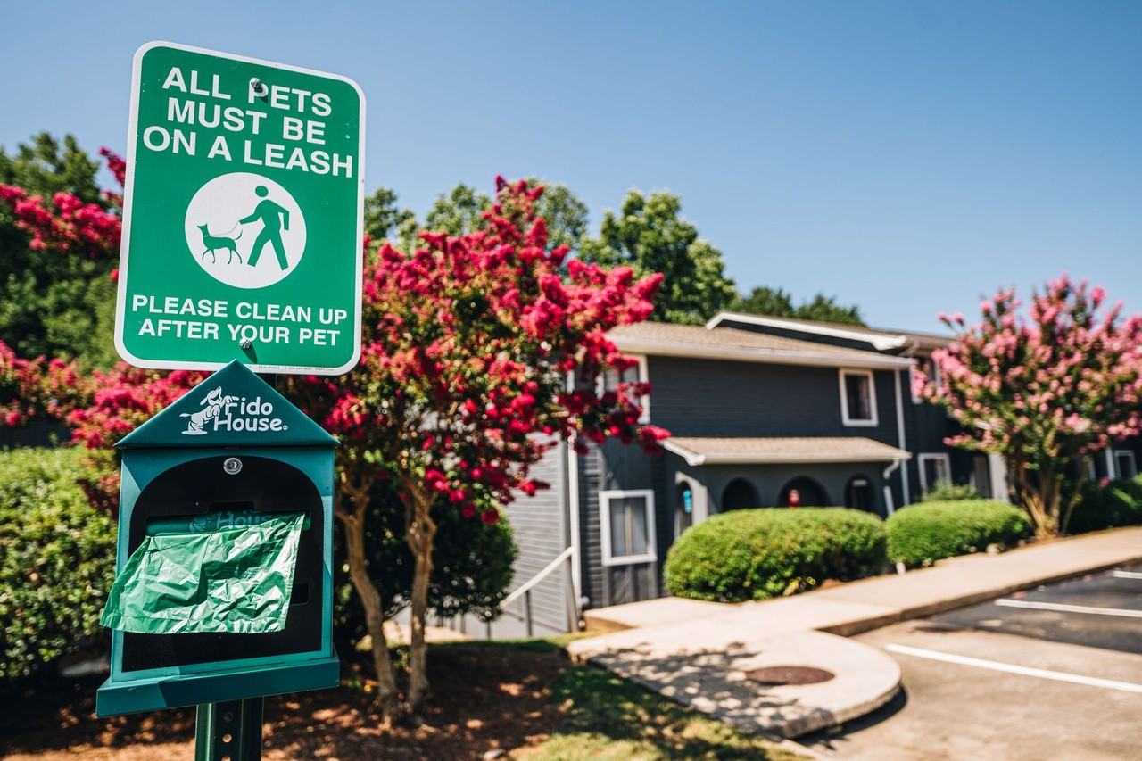 Cielo at Thompson - Photo 3 of 18