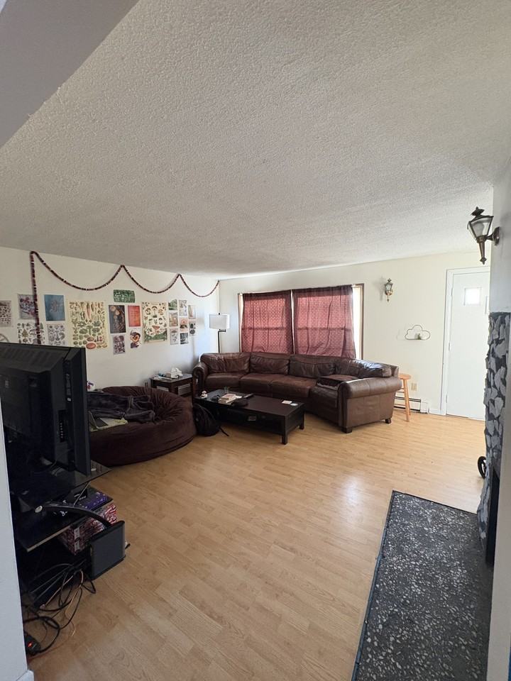 204 Belchertown Rd #1 - Photo 4 of 17