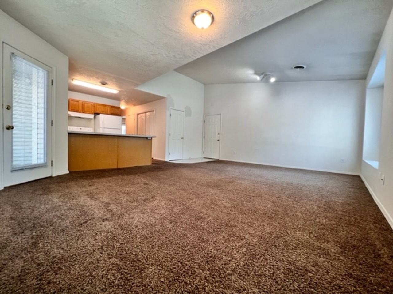 Stephen - 2236 - Photo 4 of 15