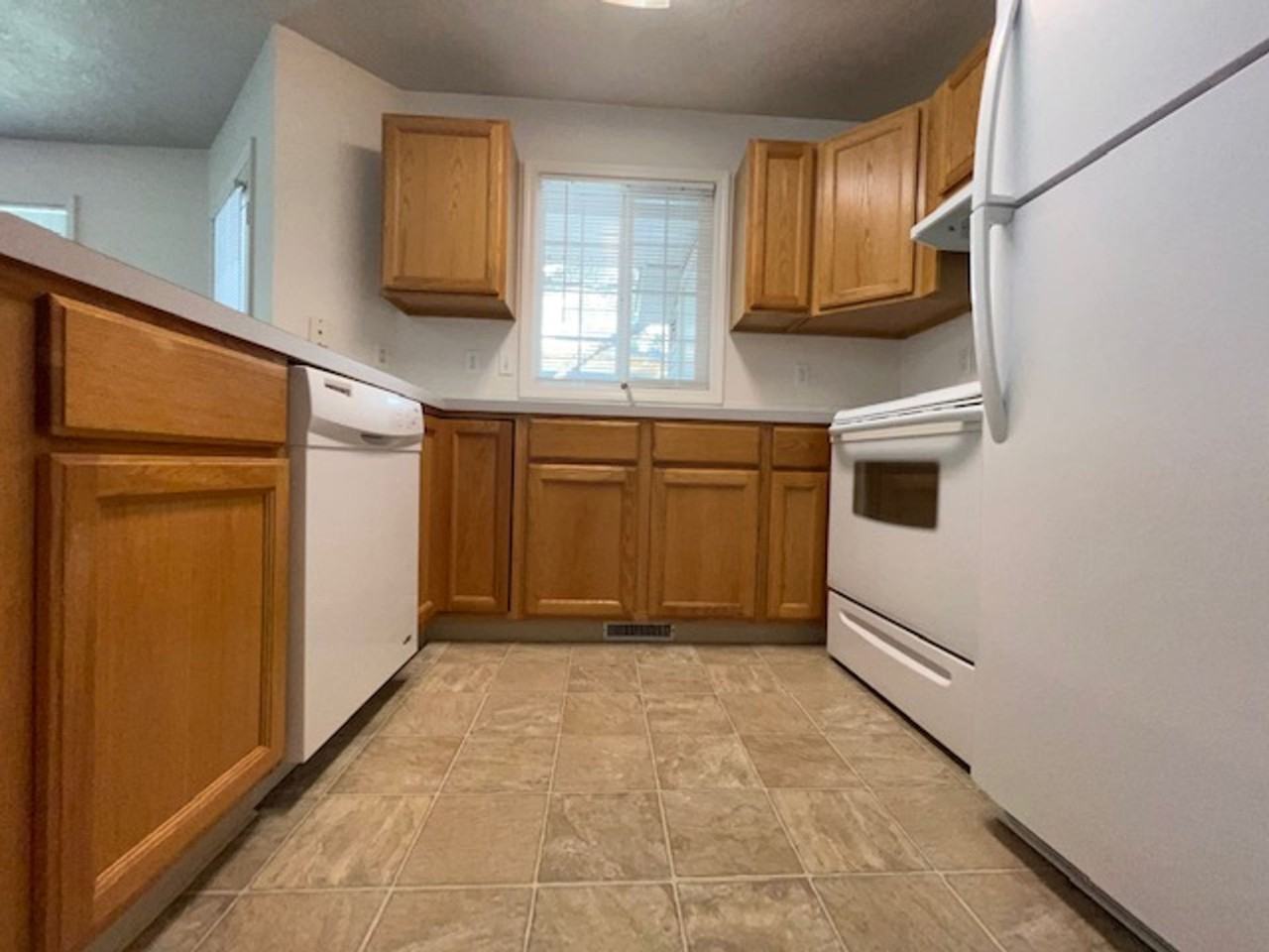 Stephen - 2236 - Photo 5 of 15