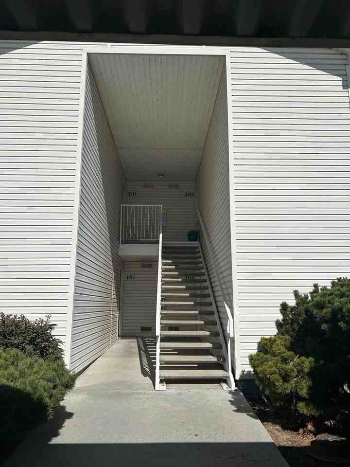 Lucky - 6474 - Photo 2 of 16