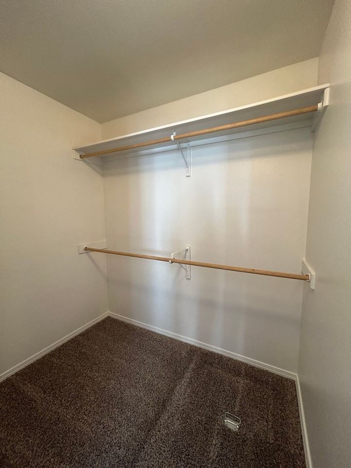 Lucky - 6474 - Photo 6 of 16