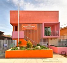 Coral - Photo 1 of 1