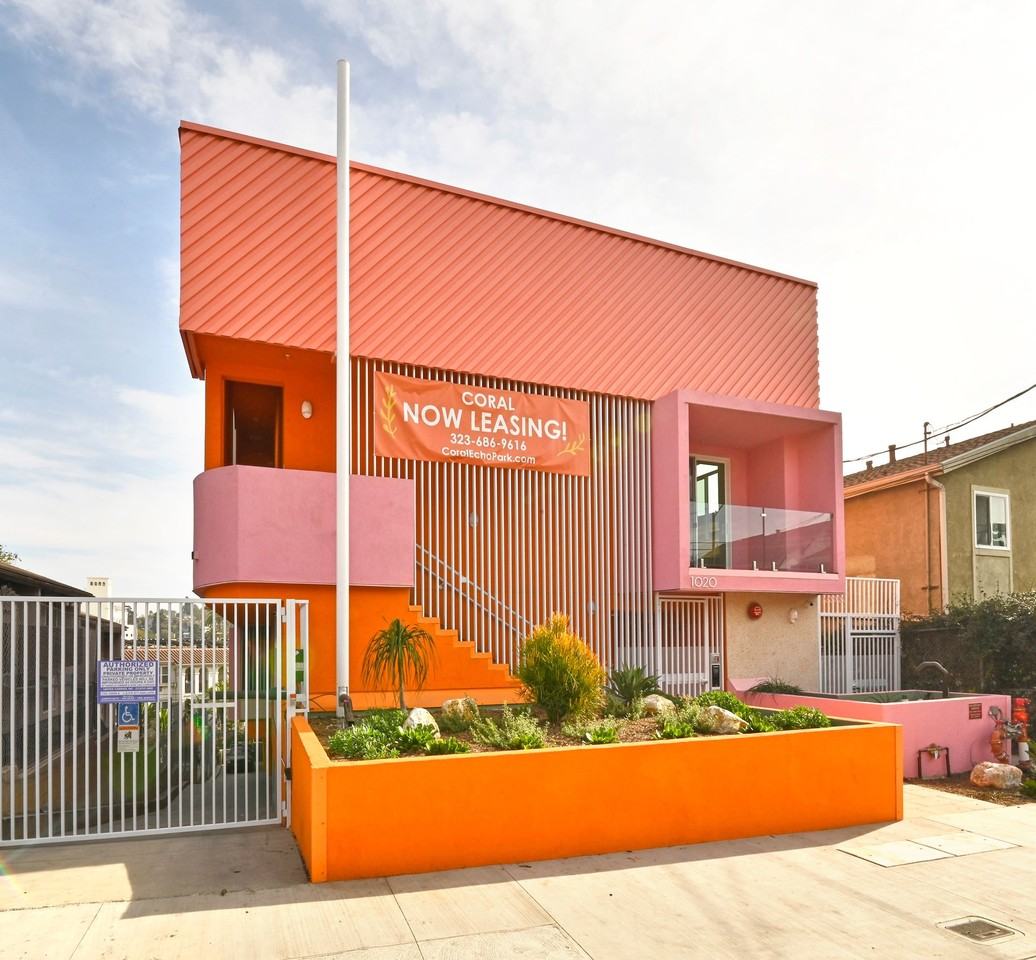 Coral - Photo 2 of 38