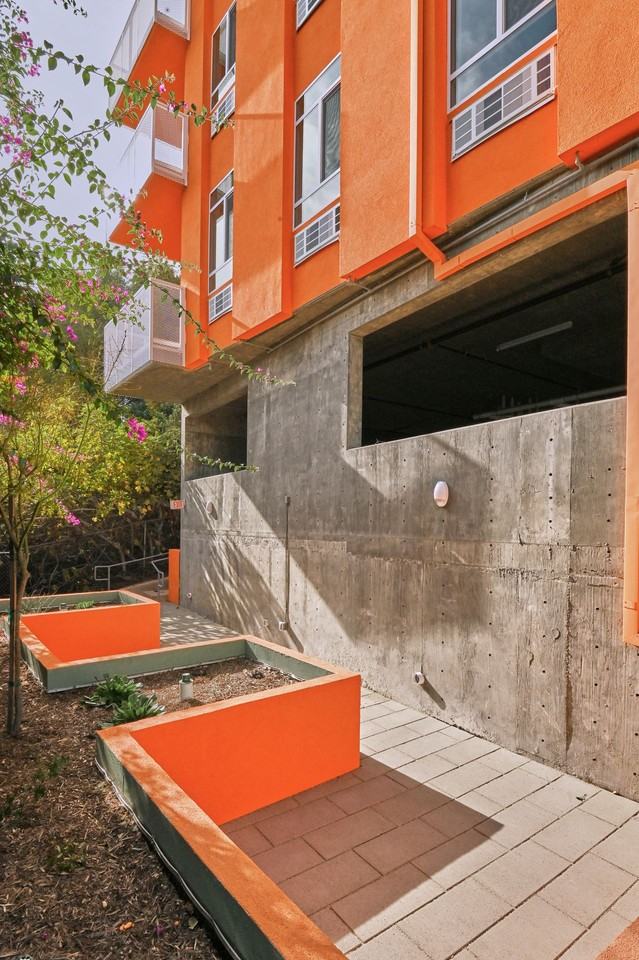 Coral - Photo 6 of 38