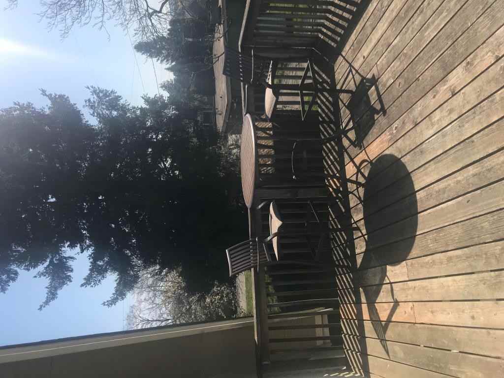 2909 Walnut St Unit A - Photo 5 of 19